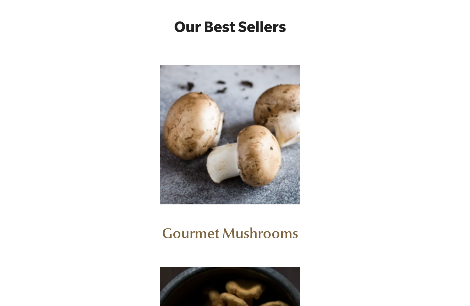 static_page_with_mushroom_collection_linked.png