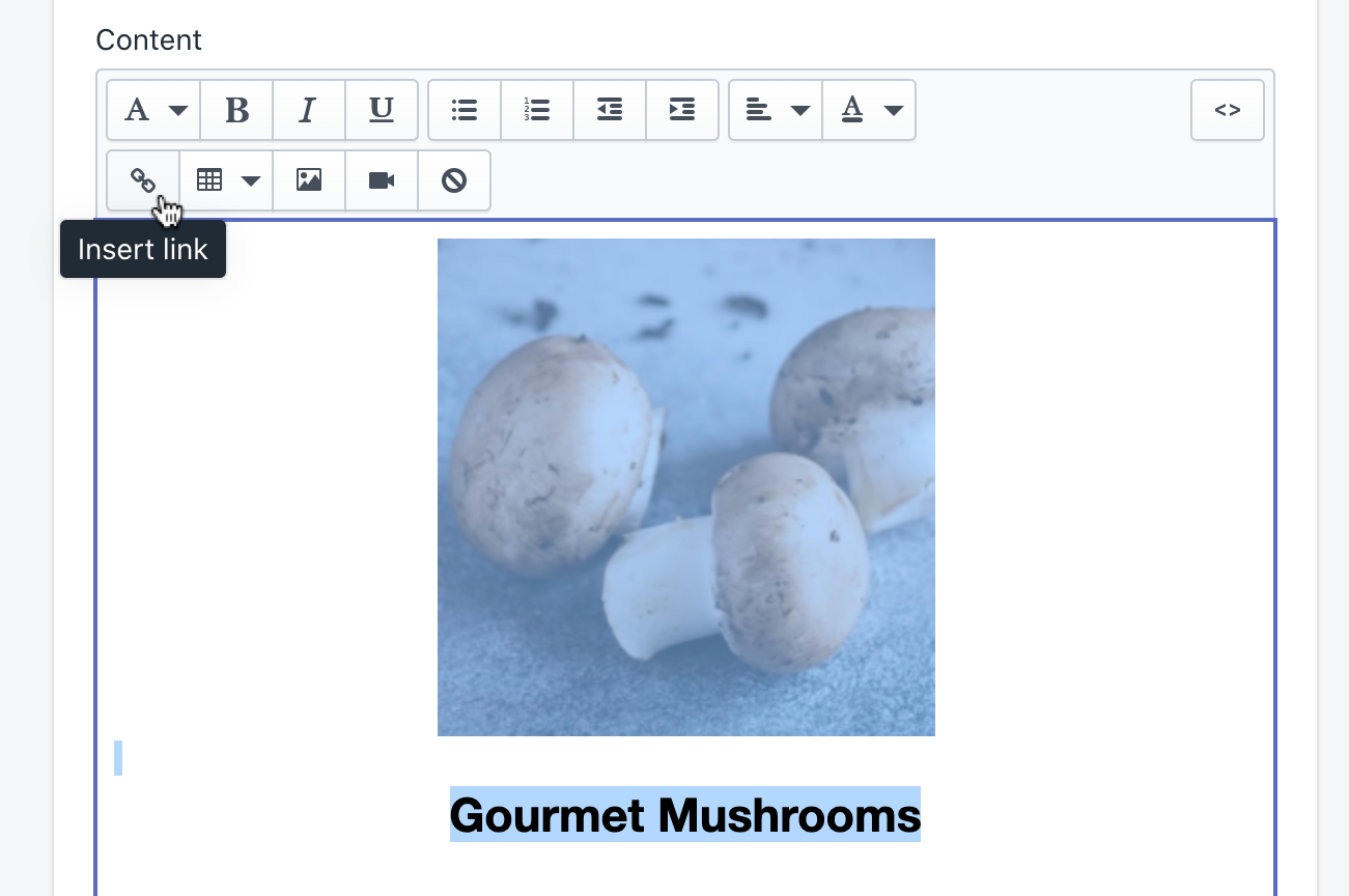 selected_image_and_heading_for_link_addition.png