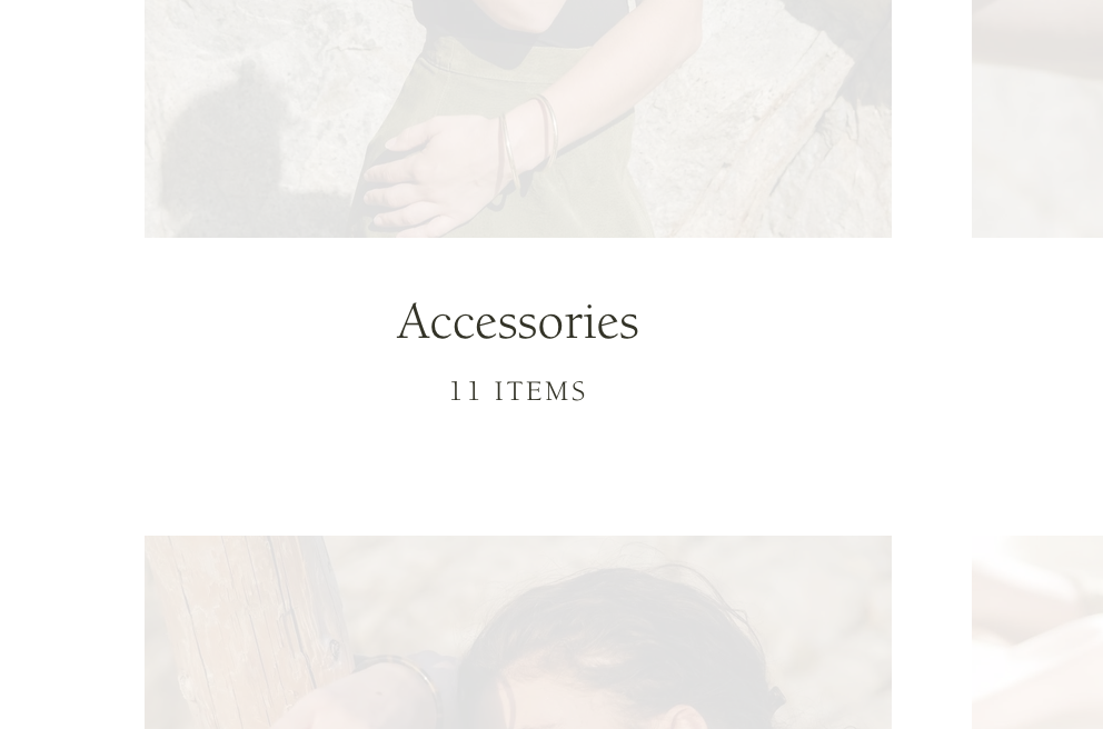 accessories_collections_has_11_products.png