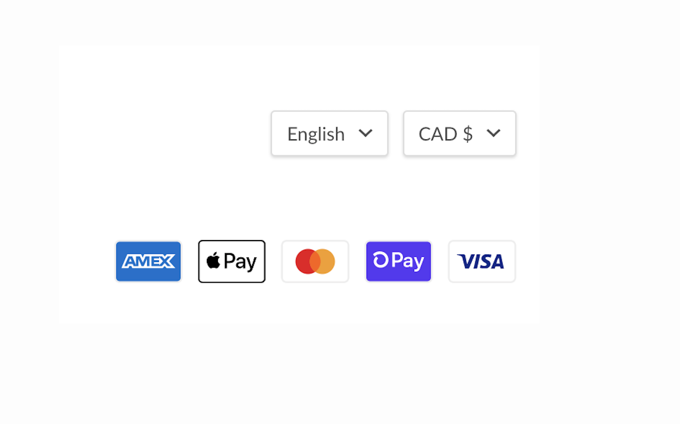 currency_and_language_selectors_and_accepted_payments.png