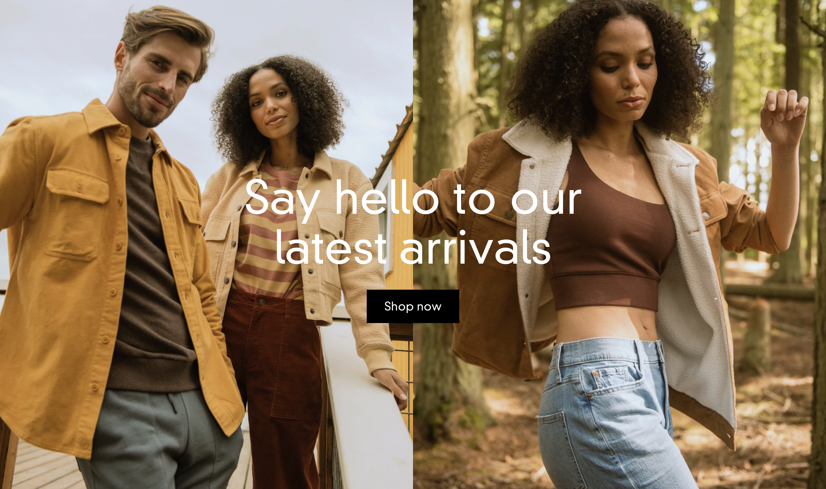 image banner section with two paired images a button and heading.png